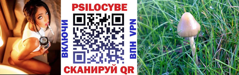 darknet Telegram Касли Галлюциногенные грибы Magic Shrooms