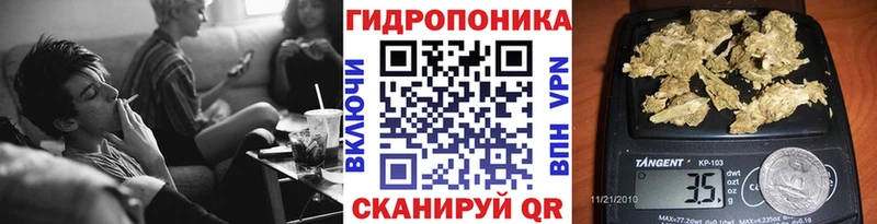 Канабис индика купить наркотики цена кракен как зайти Касли